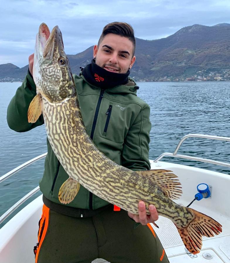 In Riva Al Lago Di Iseo Dependance Primo Piano Marone Zewnętrze zdjęcie